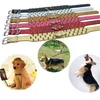 Dog Collar Leashes Fashion Spiked Studded För Big Dogs Croc PU Läder Collar Pet Halsband Justerbar Spännstorlek M L XL XXL