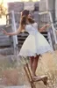 Aplikacje białe koronkowe sukienki ukochane bez pleców krótkie sukienki ślubne Boho Bride sukienka szata de Mariee