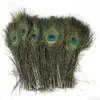 200 sztuk Naturalny Peacock Feather 25-30 cm 10-12 "Dekoracja Home Decoration Wedding Party Supplies Elegancka Peacock's Tail Feathers Stage Performance Pióra; W sprzedaży