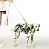 Pet Dog Leash нейлон мягкий прочный поводок для небольших больших собак кошек щенок чихуахуа бегущий ходьба свинец хриплый бульдог 210712