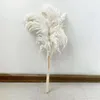 Dekorative Blumenkränze, kleine getrocknete Schilfblumen, weiße Pampas, Hochzeitsarrangement, graue Haare, Heimdekoration