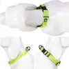 Truelove Dog Collars Set Reflective Collar for Small Medium Large Dogs Puppy Adjustable Padded Soft Nylon Comfy Neck TLC5271 210712