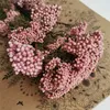 20g / bukett, 2bouquet, bevarad mi blomma, torkad liten blomma diy krans blommor jul halloween, bröllopsfest hem dekoration 220311