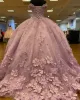 핑크 볼 가운 웨딩 드레스 2022 신부 가운 3D 플로랄 아플리케 스윕 기차와 함께 구슬 베어 데르 넥 라인 얇은 명주 그물 플러스 사이즈 사용자 정의 만든 Vestido de Novia