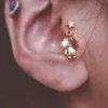 orecchino di cartilagine in titanio