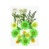 Decorative Flowers & Wreaths Pressed Mini Dried DIY Scrapbooking For Home Wedding Christmas Navidad Party Decoration Flores Secas
