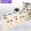 Hoopet Cat Interactive Pet Cat Toy Play Catch Toy Playing Exercise Toys Pet Products 211122