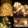 Luce a stringa a LED 1M 2M 3M Lampade decorative Piccole luci in filo d'argento alimentate a batteria per la festa di Natale di Halloween