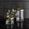 Nordic Vaso di vetro trasparente Golden Grid Cover Soggiorno Disposizione dei fiori Ikebana Decorazione Desktop Hydroponic Plants Tool 210409
