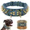 leather dog collars for boxers