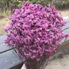 Natürliche, frisch getrocknete, konservierte Kristallgras-Rosenblume, ewige Vergissmeinnicht-Blumen, echter Delphinium-Blumenstrauß für die Inneneinrichtung 210624