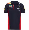 Summer F1 World Formula One Championnat Car Team Polo Jersey Séchon à manches courtes Dry Retour Tshirt3118326