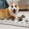 1 ADET Rastgele Renk Köpek Isırık Halat Oyuncaklar Evcil Köpekler Malzemeleri Pet Köpek Yavru Pamuk Çiğnemek Düğüm Oyuncak Dayanıklı Örgülü Kemik Halat Komik Aracı