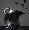 Psa odzież Pet Cat Bat Wings Halloween Cosplay Bats Costume Pets Ubrania dla kotów Kittak Puppy Małe średnie duże psy A977360756