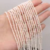 Perles de forme de pomme de terre de perle d'eau douce naturelle de haute qualité pour la fabrication de bijoux Bracelet collier accessoires pour femmes taille 2-3mm