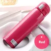 Vacuum Thermos 300ml Stainless Steel Flask High Quality Water Bottle Frosted simple Cup 210423