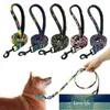 Dog Collar Leashes 5 Färger Pet Leash Lead Puppy Walking Running Train Rainbow Leads för Små Medium Stora Hundar Strap Belt Fabrikspris Expert Design