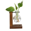 Scatole di stoccaggio binsterrarium vasi vegetali idroponici vasi di fiori vintage vaso trasparente vaso in legno piante piante da tavolo da tavolo decorazioni bonsai domestiche