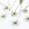 100pcs,Pressed white Lace flowers with Stem,Nature Real Flower for DIY Wedding invitation art bookmark Gift Card,Scented candles 210624