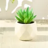 Decorative Flowers & Wreaths 1Pcs Faux Succulents In White Ceramic Pots For Desk Office Living Room And Home Decoration Fake Plants Included
