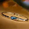مصمم سوار فاخر 2021 أساور أزياء الإسورة هدية المرأة المحيط الأزرق الكريستال حجر الراين المجوهرات الجميلة