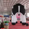 8/10/13/16 pés ou vacas leiteiras holandesas infláveis gigantes personalizadas para publicidade fabricadas na china