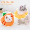 Colliers de chat conduit confortable pratique animal de compagnie petits chiens chats collier de cou cercle de flanelle doux pour la récupération des plaies