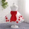 Romantisk V Neck Flower Girl Dress Real Picture Princess for Weddings Tulle