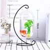 Aquariums Goldfish Ball Hanging Aquarium Fish Tank Bowl Ecosphere Flower Plant Vase Table For Small Pet Supplies Accessories2546538