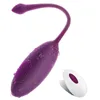 NXY Eier Sexspielzeug für Frauen, kabellose Fernbedienung, vibrierender Kugel-Ei-Vibrator, USB-Aufladung, Klitoris-Stimulator, Vaginal-Massageball 1209