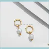 Jewelryfashion Geometrico Orecchini a cerchio in oro per le donne Irregolare Perla Nappa Dichiarazione Cerchio Orecchino Gioielli alla moda Hie Drop Delivery 202