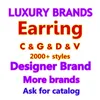 2022 Popular Brand designer jewelry studCCletter earrings for women jewelry