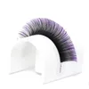 Faux cils 12 rangées Ombre bleu violet coloré Extension de cils individuel Faux vison classique cils naturels maquillage fournitures