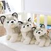 Sevimli Simülasyon Yavru Husky Bebek Peluş Oyuncaklar Hediyeler Çocuk Noel Hediyesi Dolması Hayvanlar Bebekler Çocuk Oyuncak