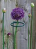 Other Garden Supplies 5Pcs Plant Climbing Support Iron Pole Flower Stake Tools Orchid Tomato Fixing Rod