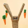 Cat Scratch Board Sisal Cat Scratcher Kitten Climbing Play Toys Weaving Carrot Toy Cat Tree 210929