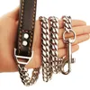 Golden Silver Stainless Steel Chain with Black Leather Dog Leash Cool Training Pet Supplies 210729