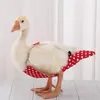 Altre forniture per uccelli Simpatica salopette con fiocco Cole Duck Flight Suit Pannolini per animali domestici Vestiti per piccoli animali Uniforme per spettacoli di feste di compleanno Cosplay P