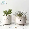 Strongwell suculento suculento Flowerpot Hedgehog cachorrinho cute animal flor potenciômetro criativo mini jardim quarto desktop presente 210922