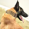 Colar De Cão Personalizado com Nome Cão Militar Cão Ajustável Nylon K9 Colar De Cão Tático Com D-Ring para Cães Grandes Médios 210729