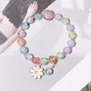 Link Chain Yayi Jewelry Charm Multi-color Hand Woven Crystal Gold Color Tube Style Bangle Cuff Lovely Heronsbill Bracelets Trum22