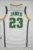 Sj Irish St. Vincent Mary Jerseys Men Basketball High School LeBron 23 James Jersey Men Green White Away Team Sport Breathable High Quality