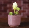 Is knäckt mini keramisk blomkruka färgglada succulenter köttig blomkruka för skrivbord dekoration köttiga krukväxter planterare söta