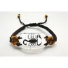 Scorpion Man's bracelet accessories Real yellow and black scorpions high quality jewelry Special gift bracelets on hand