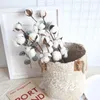Decorative Flowers & Wreaths 53cm Natural Dry Cotton, Artificial Plant Flower Branches,DIY Wedding Party Fake Flowers,Home Vase Arrangement