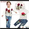 Sets Baby Baby Moederschap Drop Levering 2021 Springautumn Merk Mode Rose 3 stks 29Y Kinderkleding Meisjes Lange Mouwen Bloem Kinderkleding