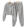Women's Two Piece Pants Autumn And Winter Solid Color Tracksuit Woman Pocket Hooded Loose Slim Plush Sets