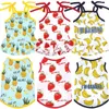 Vêtements pour chien Robe chemise vêtements motif fruits chiot T-shirt robes de plage gilet mignon printemps été fraise chien robe d'été vêtement pour animaux de compagnie pour petits chiens chats blanc M A30