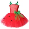 Strawberry Girls Tutu Dress Red Green Tulle Children Girl Party Dress Kids Birthday Christmas Halloween Costume For Girls 2-12Y Q0716