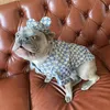 Luxury Dog Denim Shirt With Hat Set 4 Seasons Cute Pet Cat Dog Coat Small Medium Dog Teddy Pug Pomeranian Corgi